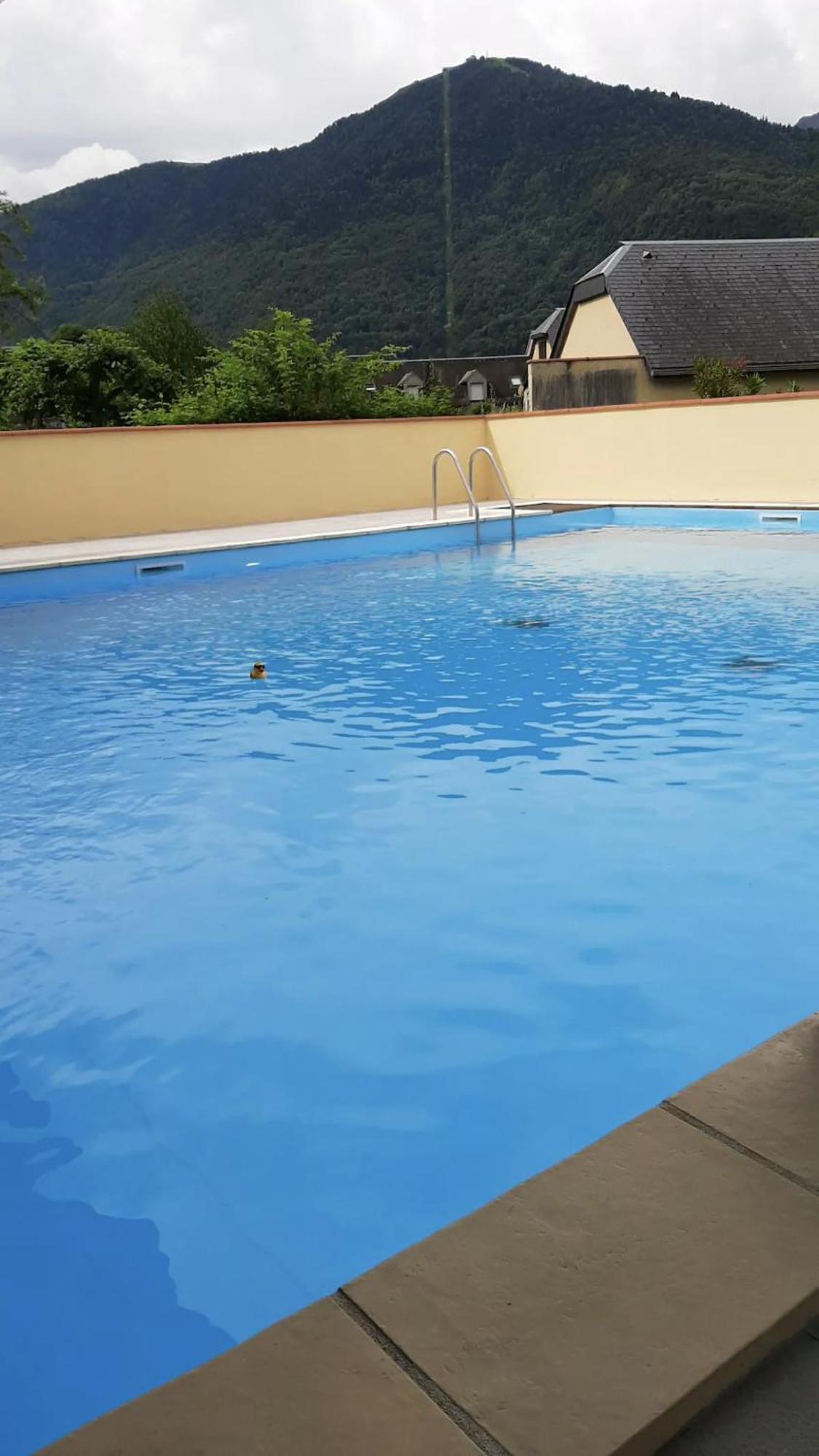 Appart T 3 Bagneres-De-Luchon Vue Montagne - Piscine Mi Juin Dış mekan fotoğraf
